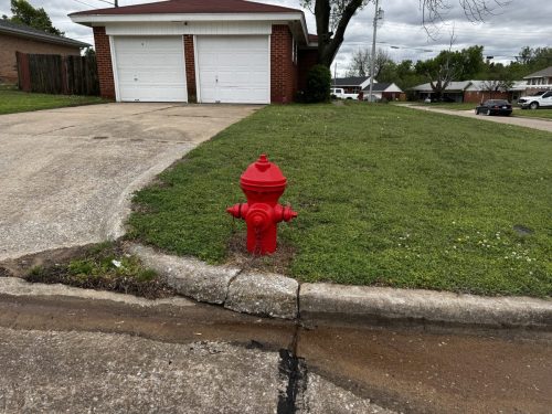 Fire Plug Restoration Project 2025